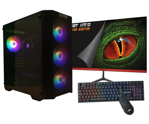 Zone Evil AMD Ryzen 5 4650G/16GB/1 Tb NVMe/Monitor 21.5 teclado y ratón Windows 11 Ordenador GamingPC